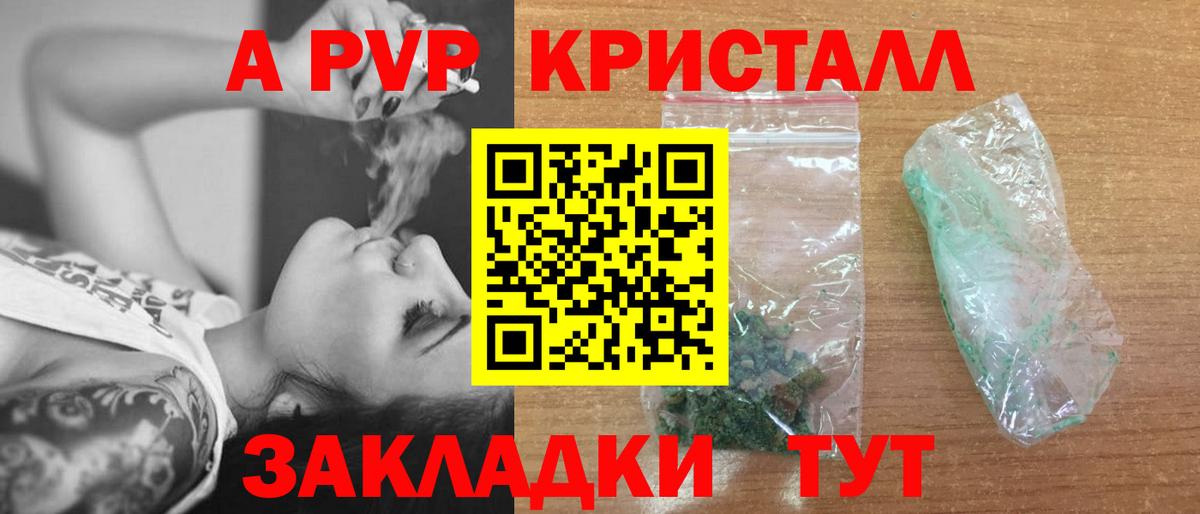 Альфа ПВП СК КРИС  Вход с VPN  Назрань  Alfa_PVP СК  A PVP Соль 