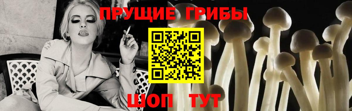Галлюциногенные грибы прущие грибы Назрань